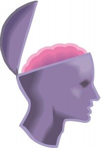 brain-4-205x300-2716394