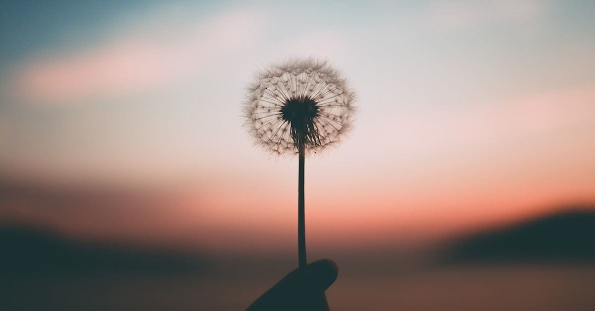 Why Life’s Big Events Don’t Matter So Much