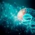 neurophotonics-102619