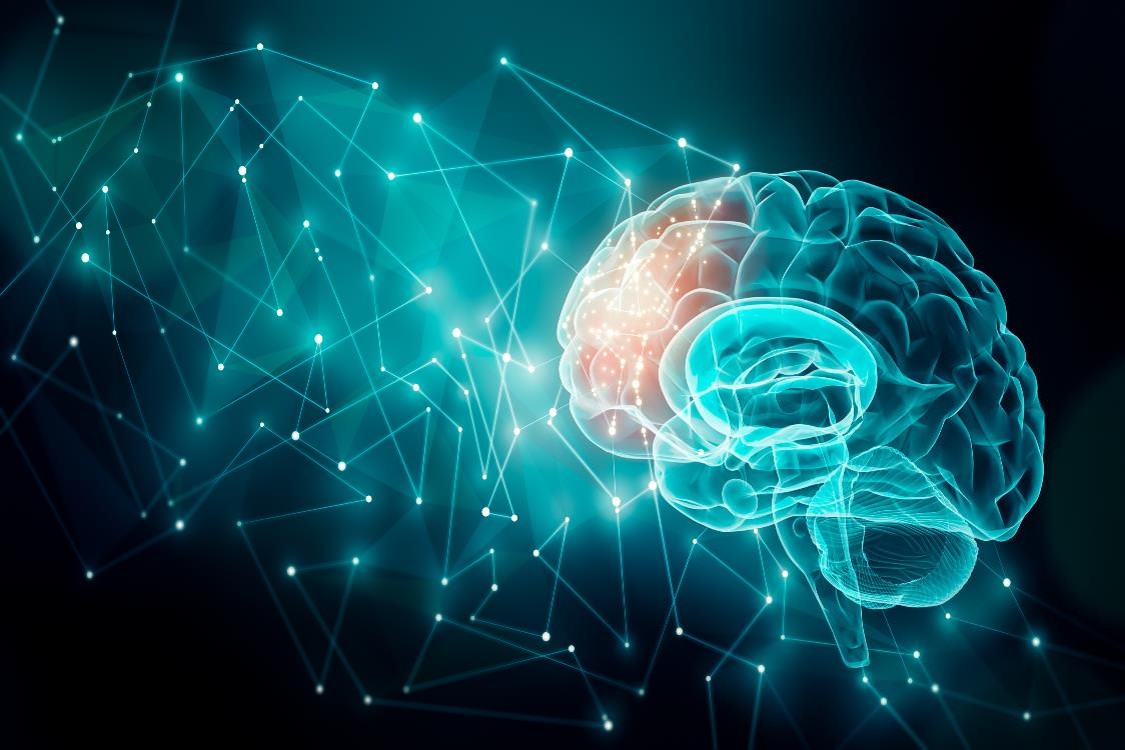 Your Brain On the Internet