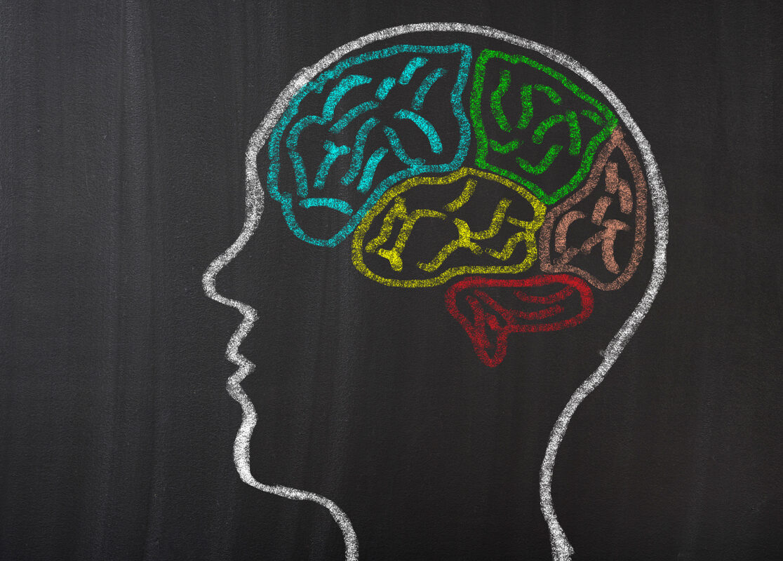25 Ways To Enrich Your Brain Experience