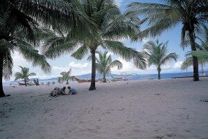 under-the-palms-300x201-1774032
