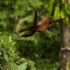 9625mm4m6l_mm8209a_120720_09120_version_2_extended