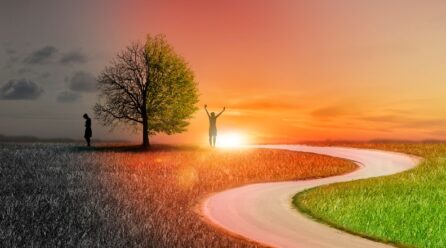 Change Made Simple – Direct the Rider